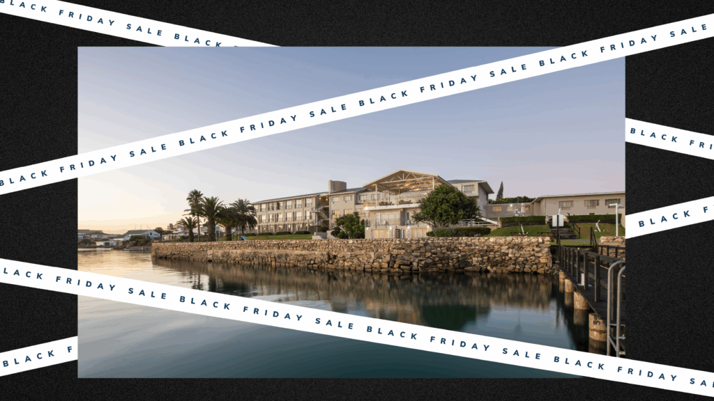 Black Friday Special