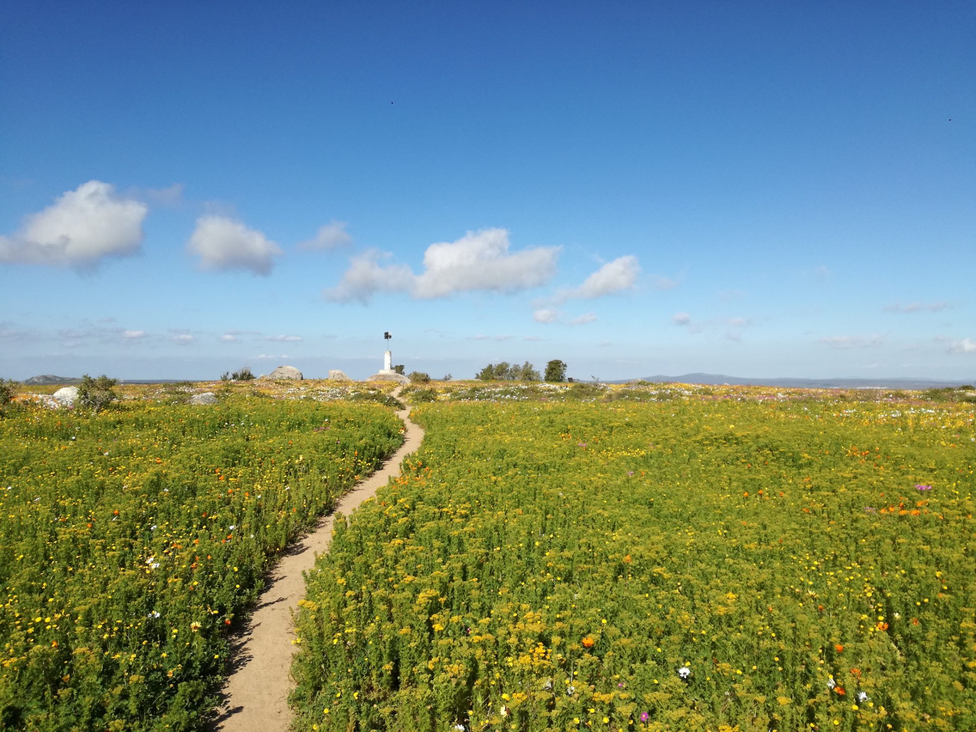 hoedjieskop view saldanha bay harbour